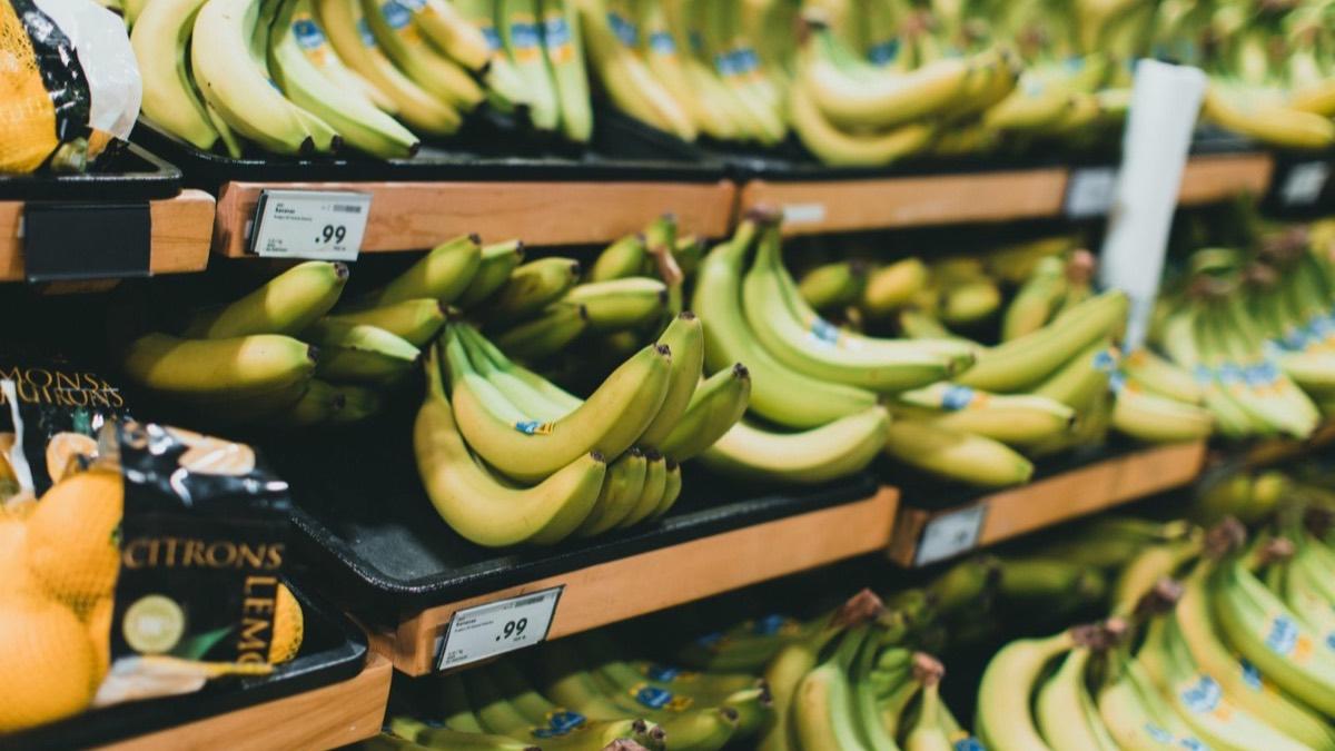 Bunches of bananas on grocery store shelves with price tags